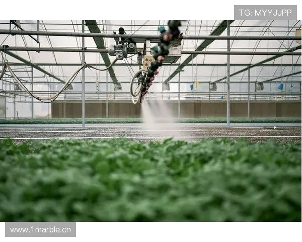 体育场馆自动化喷淋系统的节水效能评估赛